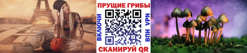 Псилоцибиновые грибы ЛСД  Магадан 
