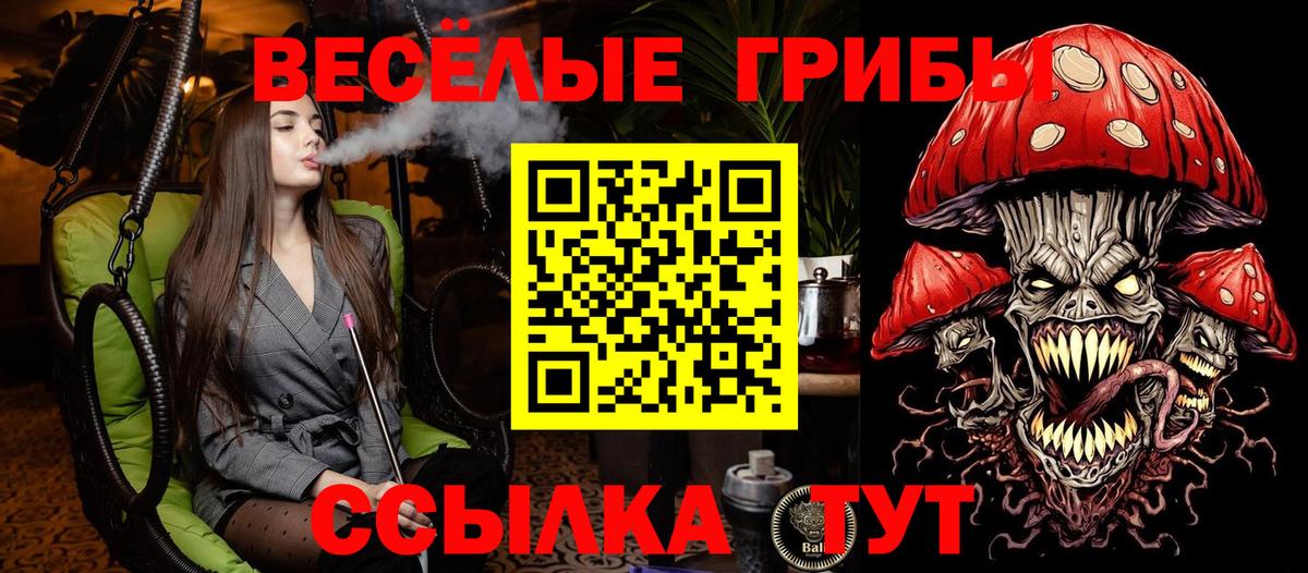 закладки  Галлюциногенные грибы ЛСД  Псилоцибиновые грибы ЛСД  Вход с VPN  Магадан 