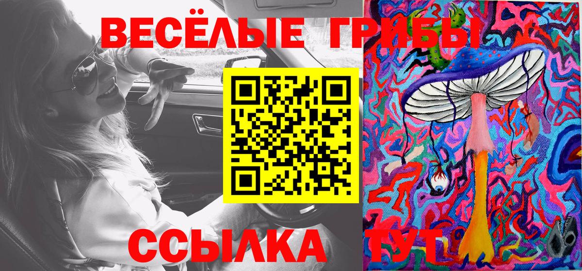 Псилоцибиновые грибы мухоморы Магадан