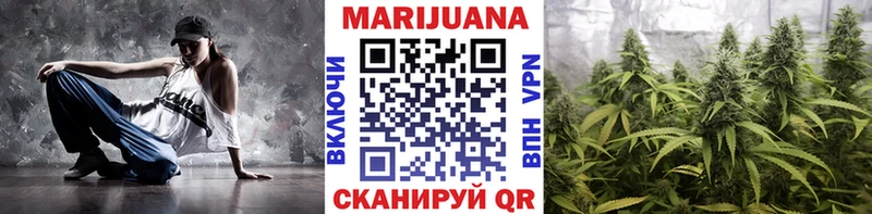 Каннабис сатива  shop формула  Магадан 
